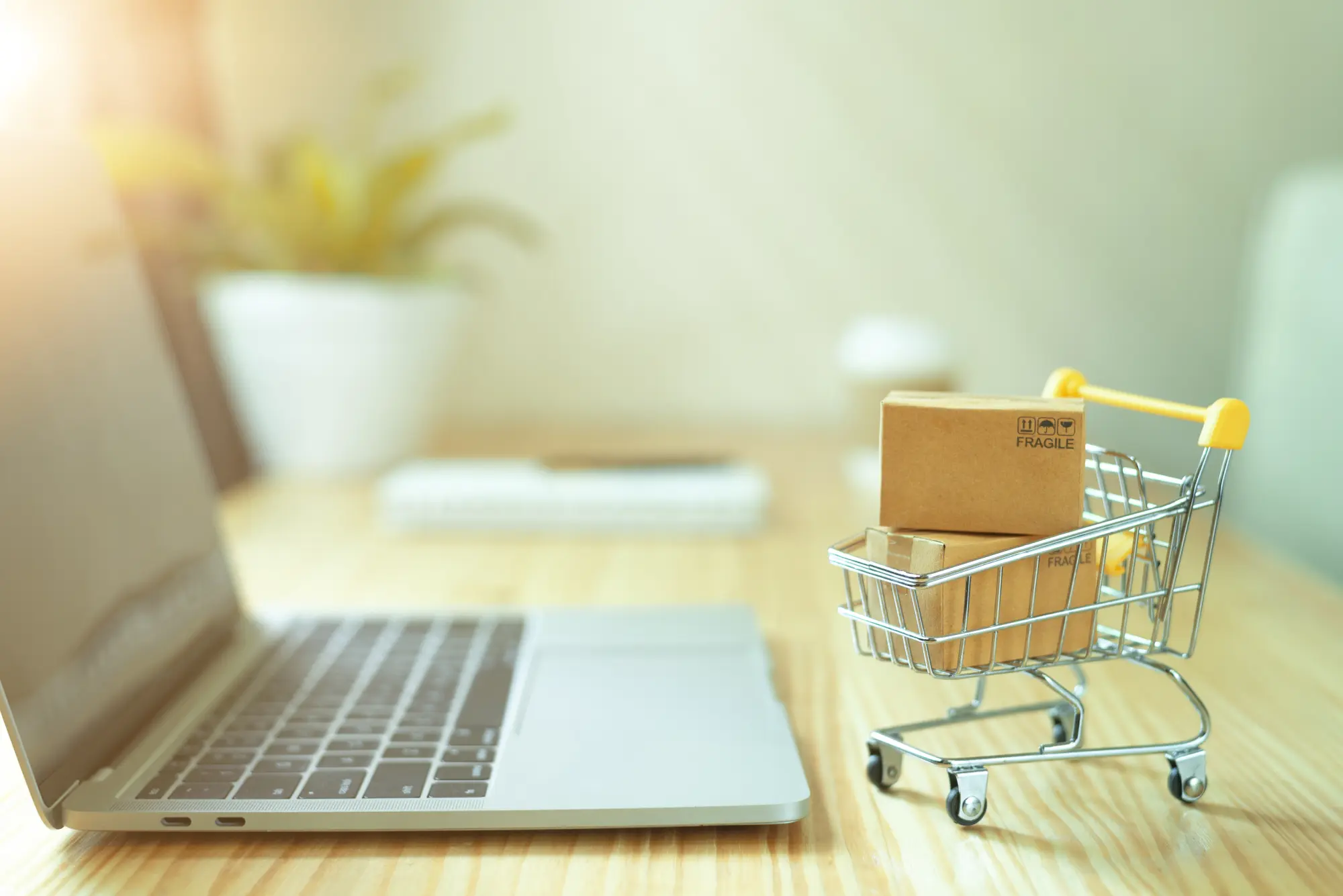 Webshop